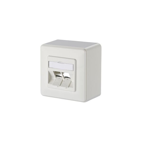 Keystone wall outlet surface mounted 2 port unequipped pure white image 1