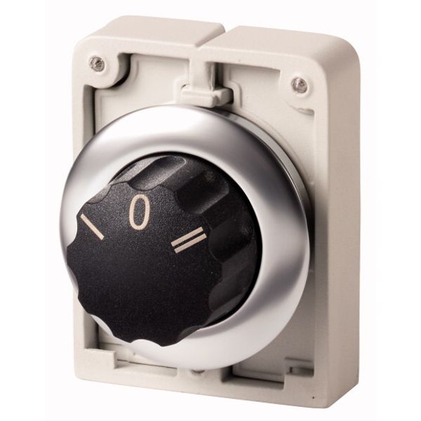 Changeover switch, RMQ-Titan, with rotary head, momentary, 3 positions, inscribed, Front ring stainless steel image 1