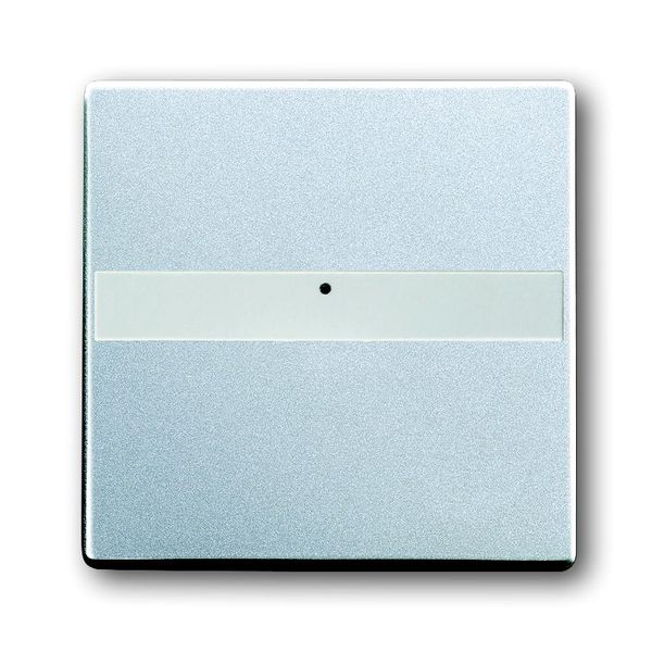 1764 NLI-83 CoverPlates (partly incl. Insert) future®, Busch-axcent® Aluminium silver image 1