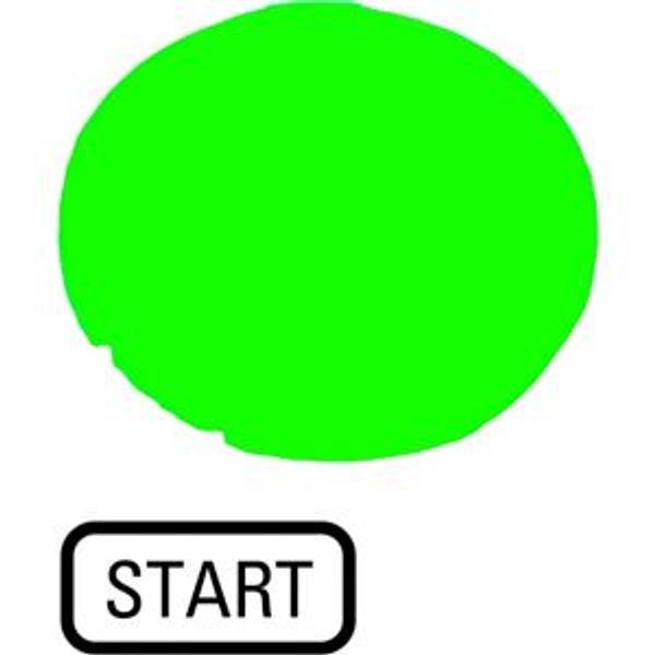 Button lens, flat green, START image 4