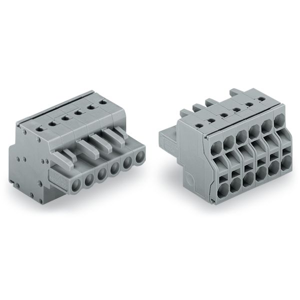 2-conductor female connector Push-in CAGE CLAMP® 2.5 mm² gray image 5