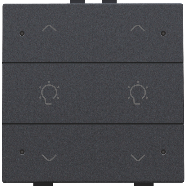 Double dimming control with LED for Niko Home Control, anthracite coat image 2