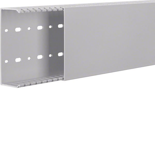 HNG 50125/0 Grey 7035 Trunking image 1