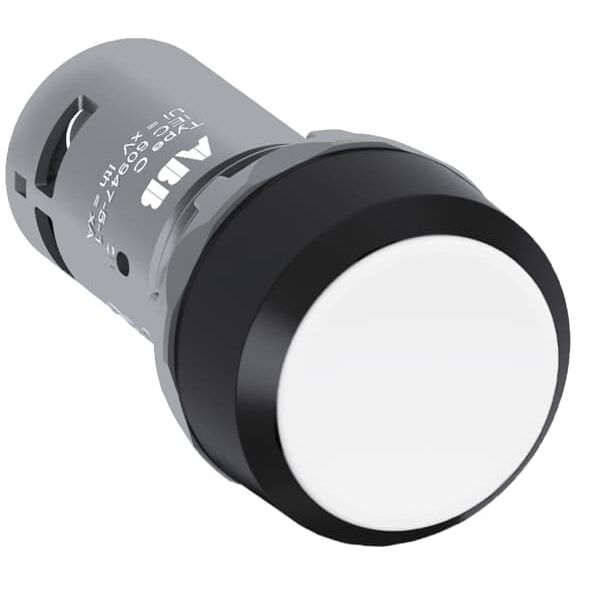 CP1-10W-20 Pushbutton image 2