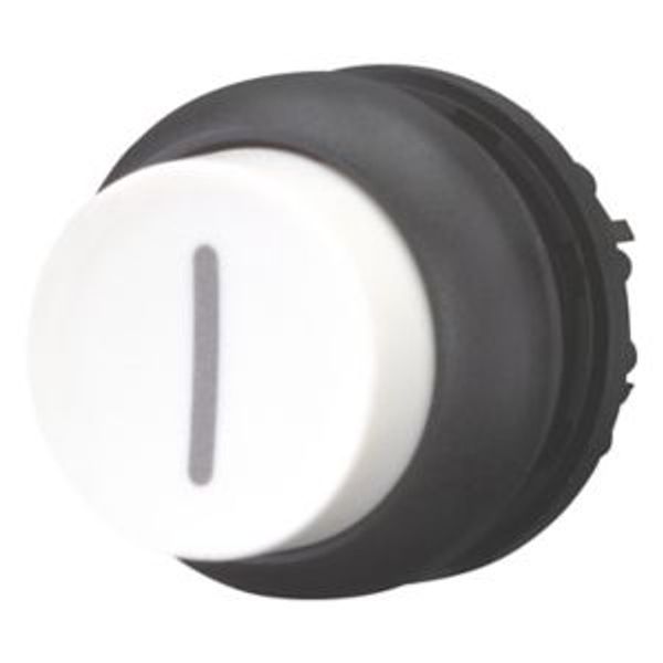 Pushbutton, RMQ-Titan, Extended, maintained, White, inscribed, Bezel: black image 8