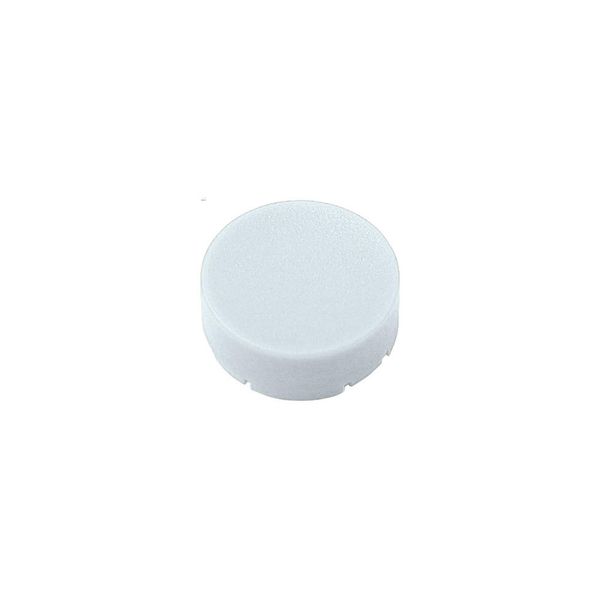Button plate, raised white, blank image 2