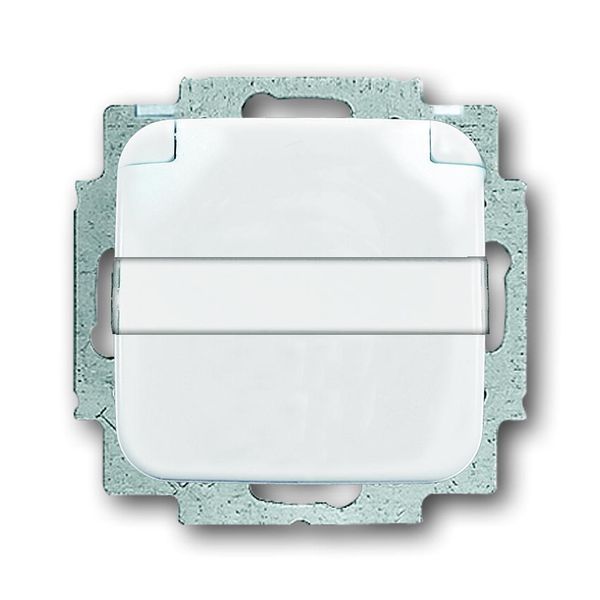 20 EUKN-214 CoverPlates (partly incl. Insert) carat® Alpine white image 1