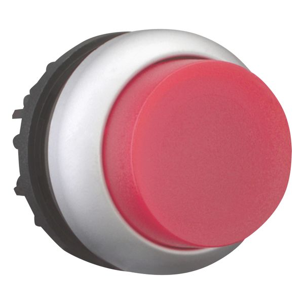Illuminated pushbutton actuator, RMQ-Titan, Extended, momentary, red, Blank, Bezel: titanium image 12