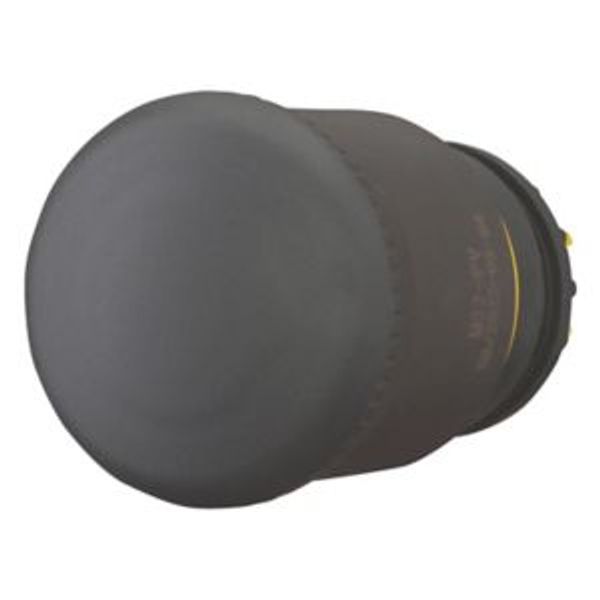 HALT/STOP-Button, RMQ-Titan, Mushroom-shaped, 38 mm, Non-illuminated, Pull-to-release function, Black, yellow, RAL 9005 image 2