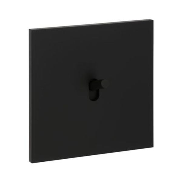 Art d'Arnould universe Epure two-way switch or 10A switch - matte black image 1