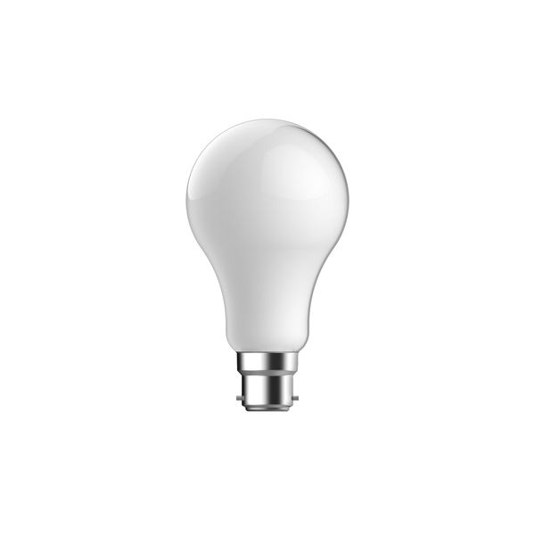 B22 B22 Light Bulb White image 1