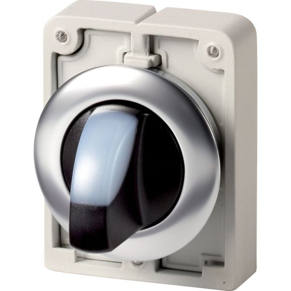 Illuminated selector switch actuator, RMQ-Titan, with thumb-grip, maintained, 2 positions (V position), White, Front ring stainless steel image 6