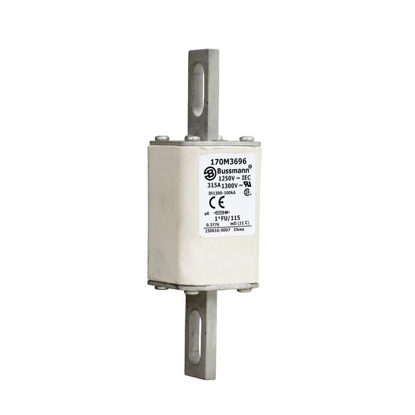 Fuse-link, high speed, 315 A, AC 1250 V, compact size 1, 45 x 45 x 156 mm, aR, IEC, UL image 13