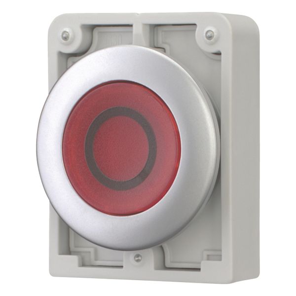 Illuminated pushbutton actuator, RMQ-Titan, Flat, momentary, red, inscribed 0, Metal bezel image 4