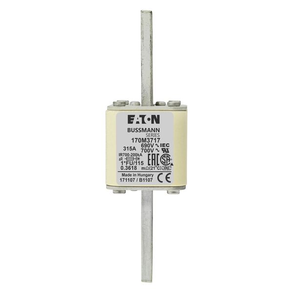 Fuse-link, high speed, 315 A, AC 690 V, compact size 1, 45 x 45 x 148 mm, aR, IEC, UL image 4