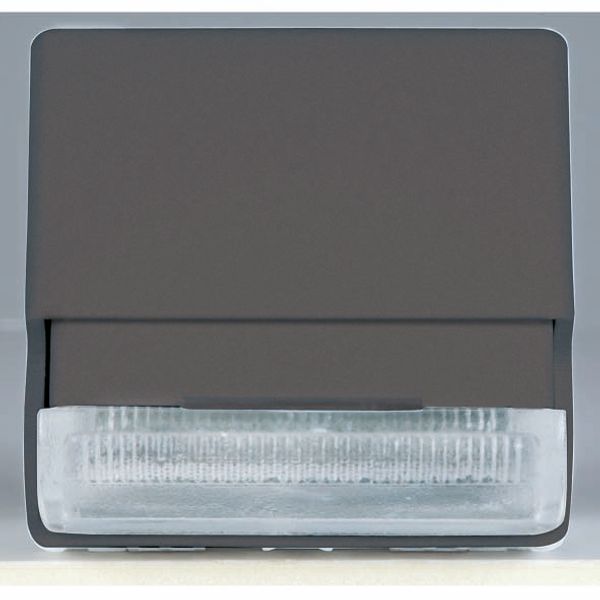 STAIR RISER LAMP WITH LED LIGHT - 12/230V ac - WHITE - 2 MODULES - SYSTEM BLACK image 2