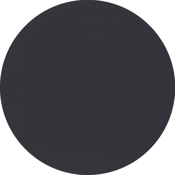 Button 1gang, R.1/R.3/1930/R.cl., black glossy image 1