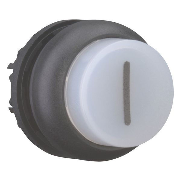 Illuminated pushbutton actuator, RMQ-Titan, Extended, maintained, White, inscribed 1, Bezel: black image 13
