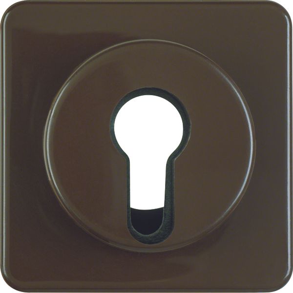 Centre plate f. key switch/push-b., splash-prot. flush-mtd IP44, brown image 1