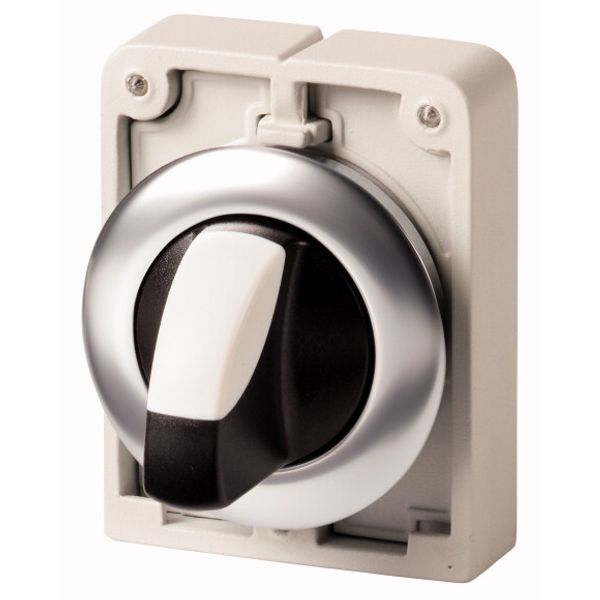 Changeover switch, RMQ-Titan, with thumb-grip, momentary, 2 positions, Front ring stainless steel image 1