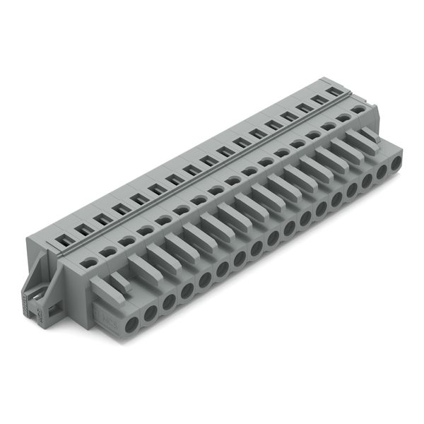 1-conductor female connector CAGE CLAMP® 2.5 mm² gray image 1