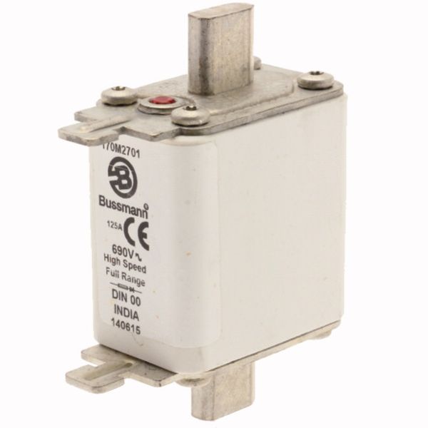 Fuse-link, high speed, 125 A, AC 690 V, DIN 00, 30 x 60 x 79 mm, gR, DIN, IEC, single indicator image 3