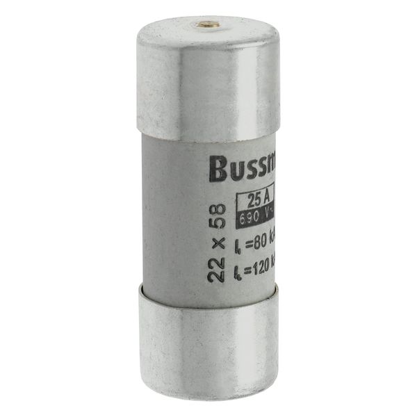 Fuse-link, LV, 25 A, AC 690 V, 22 x 58 mm, gL/gG, IEC, with striker image 13