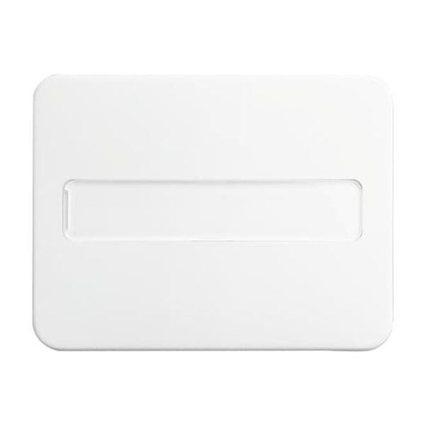 1764 NLI-24G CoverPlates (partly incl. Insert) carat® Studio white image 2