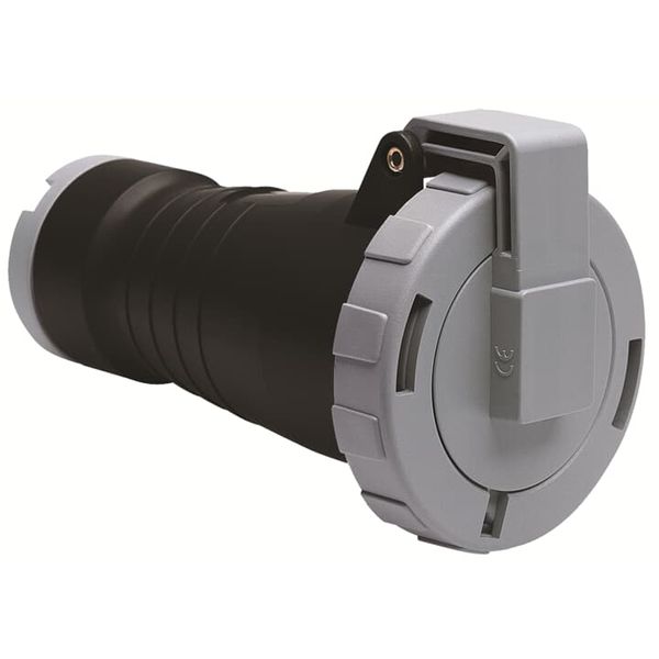 432C5W Industrial Connector image 1