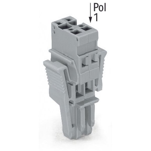 1-conductor female connector CAGE CLAMP® 4 mm² gray image 1