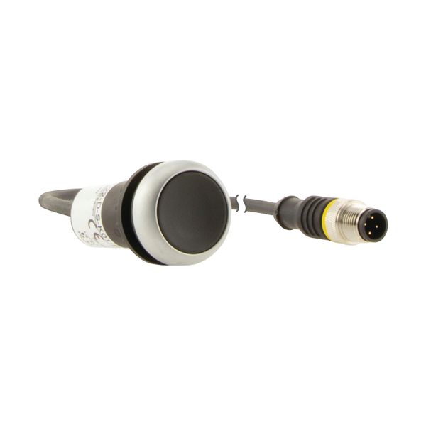 Pushbutton, Flat, momentary, 1 NC, Cable (black) with M12A plug, 4 pole, 0.2 m, black, Blank, Bezel: titanium image 11