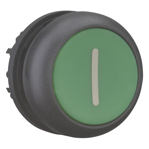 Pushbutton, RMQ-Titan, Flat, maintained, green, inscribed, Bezel: black image 14