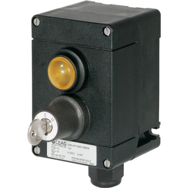 Timer module, 100-130VAC, 5-100s, off-delayed image 480