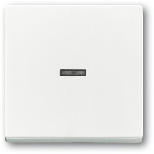 1789 N-84 CoverPlates (partly incl. Insert) future®, Busch-axcent®, solo®; carat® Studio white image 1