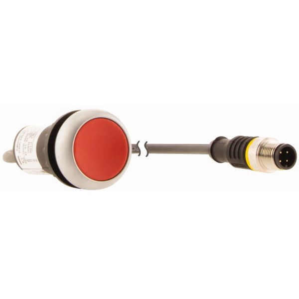 Pushbutton, Flat, momentary, 1 NC, Cable (black) with M12A plug, 4 pole, 1 m, red, Blank, Bezel: titanium image 13