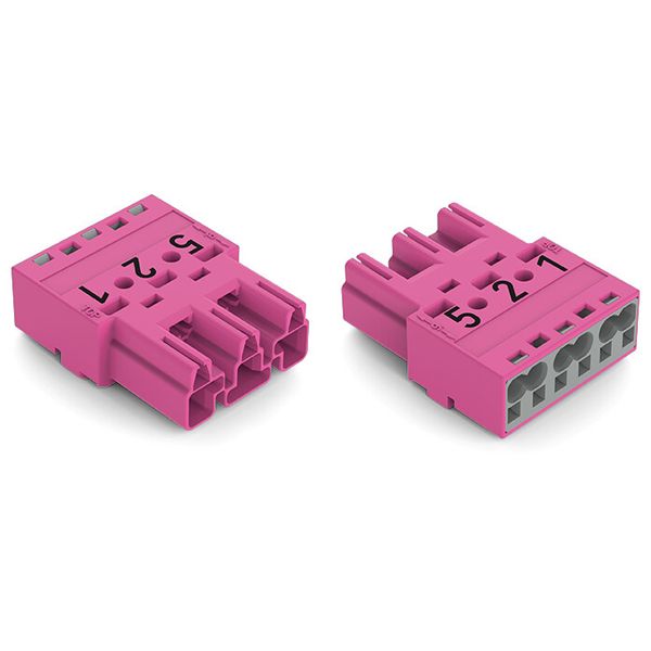 Plug 3-pole Cod. B pink image 2