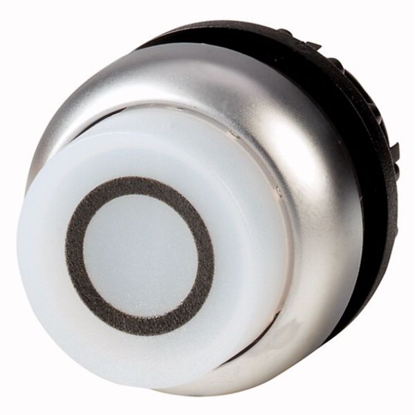 Illuminated pushbutton actuator, RMQ-Titan, Extended, maintained, White, inscribed 0, Bezel: titanium image 1
