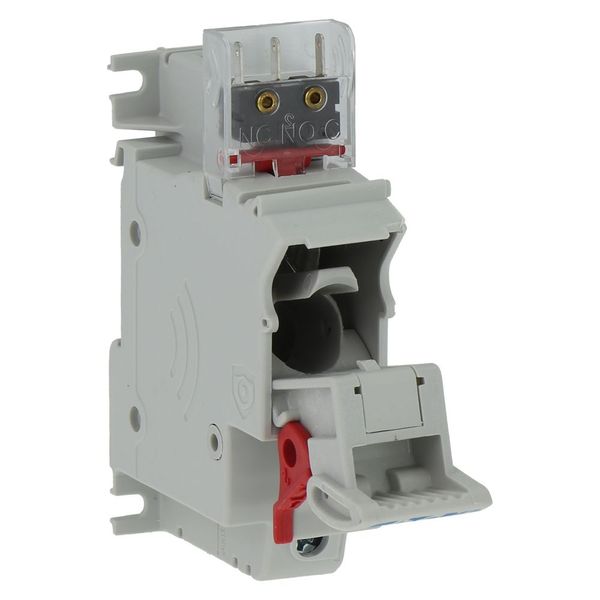 Fuse-holder, low voltage, 50 A, AC 690 V, 14 x 51 mm, 1P, IEC image 15
