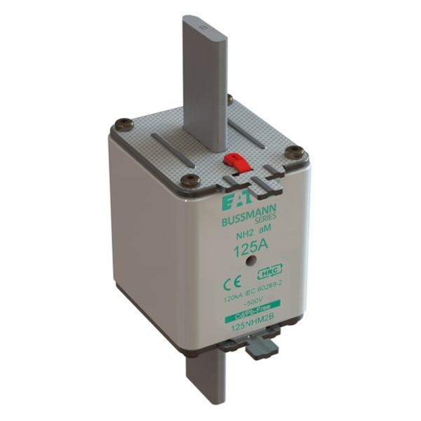 Fuse-link, low voltage, 125 A, AC 500 V, NH2, aM, IEC, dual indicator image 2