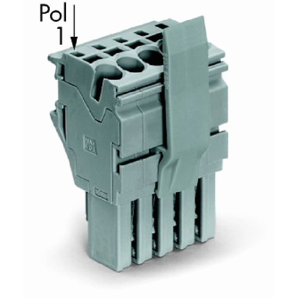1-conductor female connector Push-in CAGE CLAMP® 4 mm² gray image 1