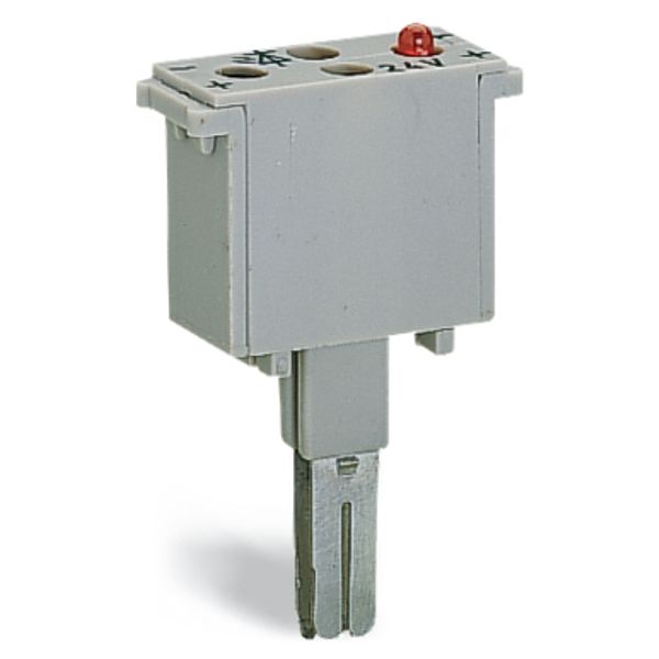 Component plug 2-pole 10 mm wide gray image 3