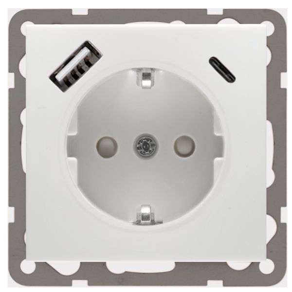 SCHUKO socket with USB charger aluminum image 1