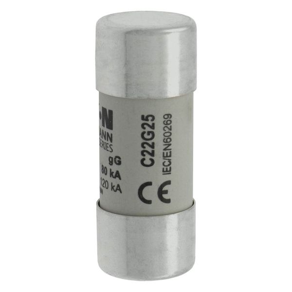 Fuse-link, LV, 25 A, AC 690 V, 22 x 58 mm, gL/gG, IEC image 8