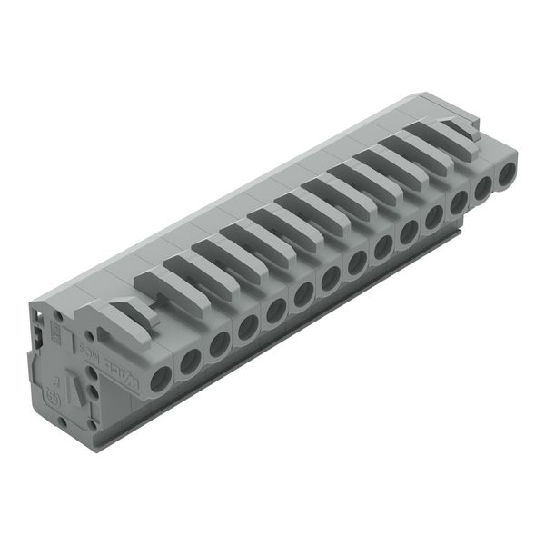 1-conductor female connector, angled CAGE CLAMP® 2.5 mm² gray image 2