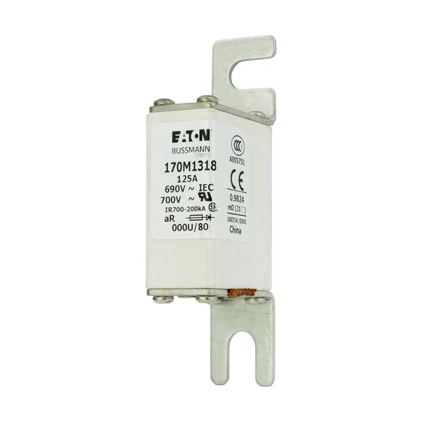 Fuse-link, high speed, 125 A, AC 690 V, DIN 000, 21 x 40 x 100 mm, aR, DIN, IEC image 5