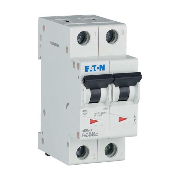 Miniature circuit breaker (MCB), 40 A, 2p, characteristic: D image 21