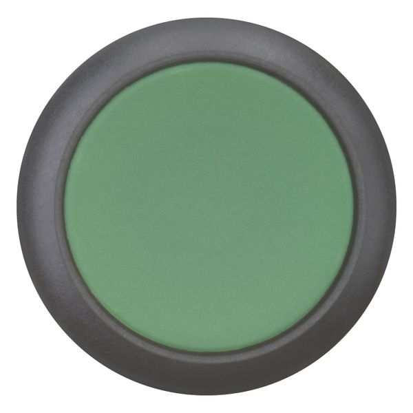 Pushbutton, RMQ-Titan, Flat, maintained, green, Blank, Bezel: black image 4