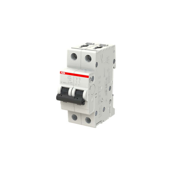 S202-Z6 Miniature Circuit Breaker - 2P - Z - 6 A image 4