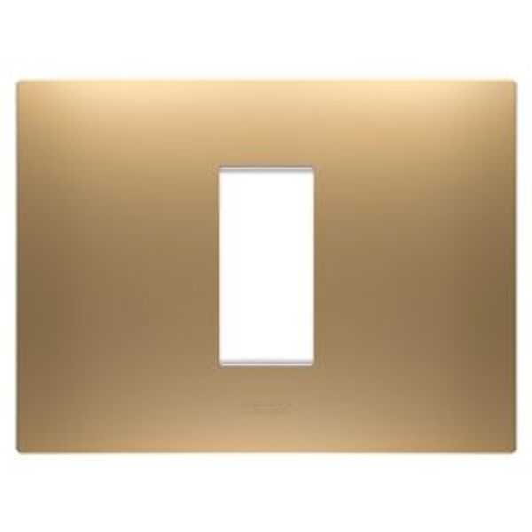 EGO PLATE - IN PAINTED TECHNOPOLYMER - 1 MODULE - GOLD - CHORUSMART image 1