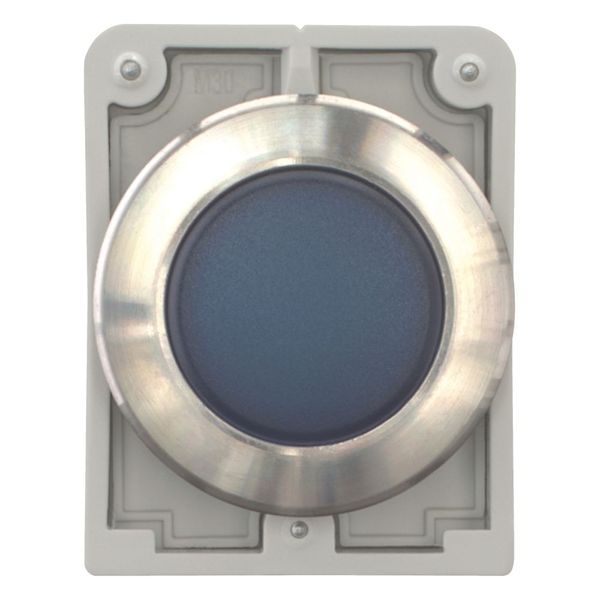 Indicator light, RMQ-Titan, flat, Blue, Front ring stainless steel image 3